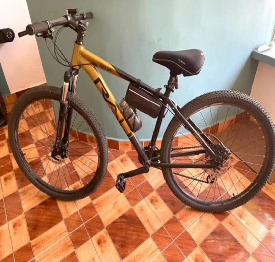 Se vende bicicleta Rali con accesorios